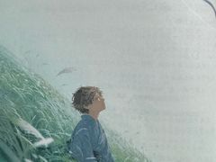 -戏精管理局·剧本杀·桌游·血染钟楼