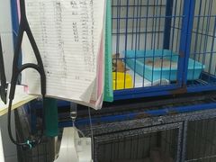 -达爱动物医院·犬猫分区·CT·复杂眼科(远洋山水分院)