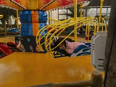 -南宫五洲植物乐园