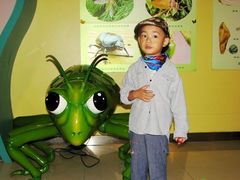 -上海昆虫博物馆