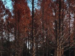 -国家植物园南园