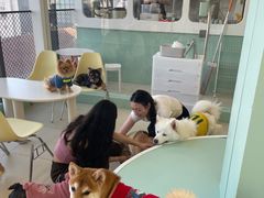 -怪兽屋·羊驼·猫咖·狗咖(俊华广场店)