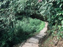 -青城山