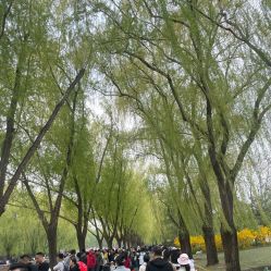 -大望京儿童游乐场