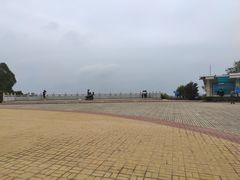 -广东惠东海龟国家级自然保护区