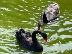 -大连老虎滩海洋公园