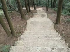 -广州市帽峰山景区