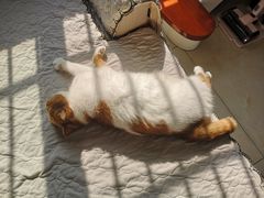 -马老大烧烤(和平路店)