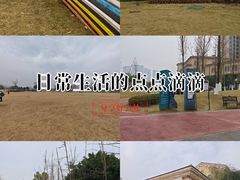 -府河摄影公园