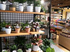 -The Green Party(嘉里中心店)