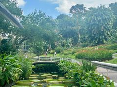 -新加坡植物园