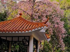 -火炉山森林公园