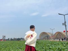 -中国天府农业博览园