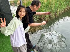 -白洋淀景区