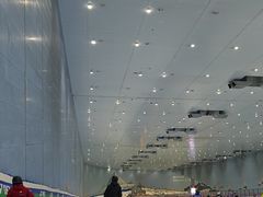 -广州热雪奇迹