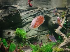 -广州海洋馆