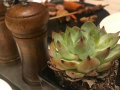 -新发展亚太JW万豪酒店·福苑咖啡厅