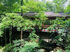 -藏龙百瀑风景区