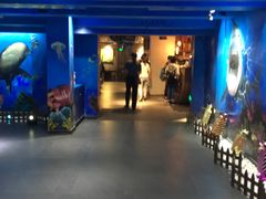 -船奇蒸汽海鲜·闽菜(八市海鲜总店)