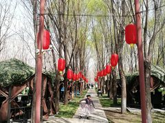 -草根堂农场