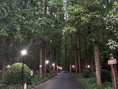 -上海怡沁园度假酒店