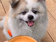 -Peet's 皮爷咖啡(海雅缤纷城店)