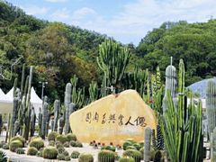 -深圳仙湖植物园