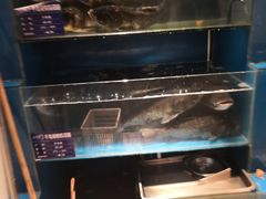 -永安鱼庄·镇江菜(丁卯店)