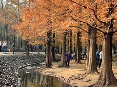 -白水寺森林公园
