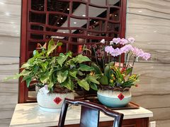 -熙盛源(永乐路店)