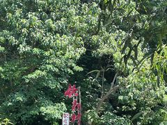 -竹泉村旅游度假区