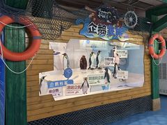 -海合安成都极地海洋公园