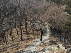 -北京鹫峰国家森林公园