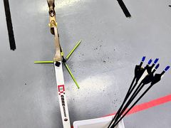 -蓝天射箭馆·专业射箭运动(诚丰广场店)