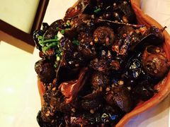 -陶然居·重庆菜(解放碑店)