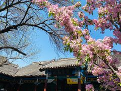 -张学良旧居陈列馆