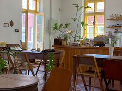 -春风十里咖啡馆