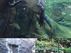 -河川生态园