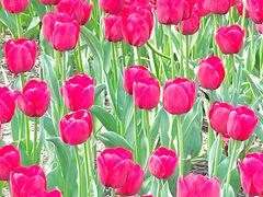 -玄武湖景区-情侣园游乐场