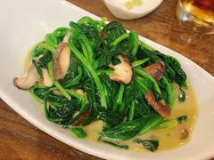 奶油菠菜-东京屋(武定路店)