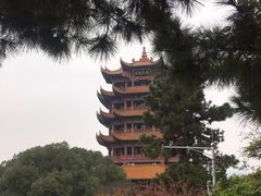 -黄鹤楼公园(黄鹤楼)
