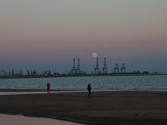 -金梦海湾浴场