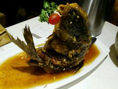 糖醋鲤鱼-闫府私房菜·百年鲁菜(恒隆店)