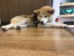 -YCHL Studios健身工作室(市二宫店)