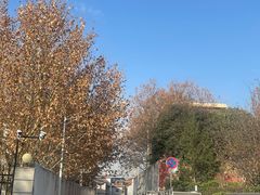 -秦始皇帝陵博物院(兵马俑)