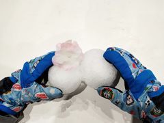 -Mr·Kuma酷么先生雪之乐园