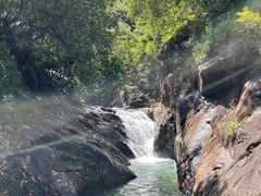 -广州白江湖森林公园