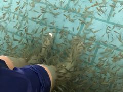 -天山海世界·米立方