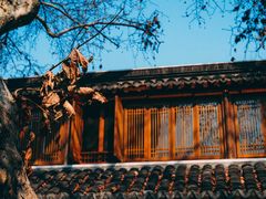 -鲤院·新中式美学·庭院餐厅(夫子庙店)
