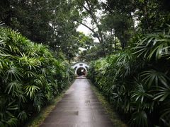 -广州兰圃